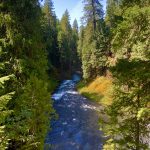 McKenzie River Trail, Oregon