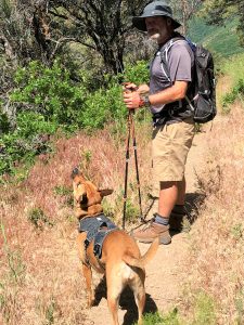 Read more about the article Outventure with Dogs for Adventure