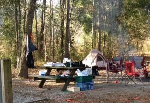 Read more about the article Car Camping – Storage & Organization