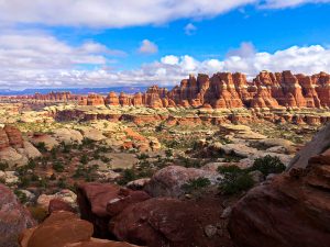 Read more about the article Chesler Park Loop – Canyonlands National Park