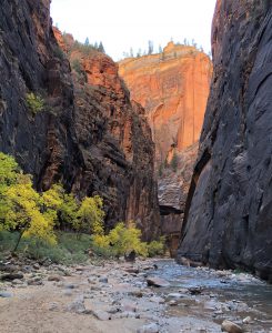 Read more about the article Zion National Park – The Narrows