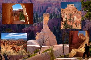 Read more about the article Bryce Canyon National Park – Queens Garden & Navajo Loop