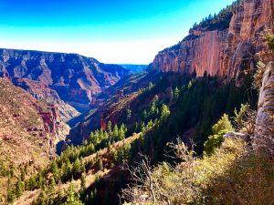 Read more about the article Grand Canyon National Park – North Kaibab Trail
