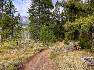 Read more about the article Galena Lodge Mountain Biking Trails, Idaho
