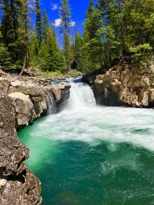 Read more about the article McCloud River Falls Trail