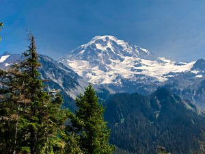 Read more about the article Hike to Spray Park, Mount Rainier