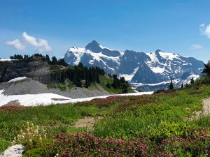 Read more about the article Mount Baker Wilderness – Ptarmigan Ridge Trail