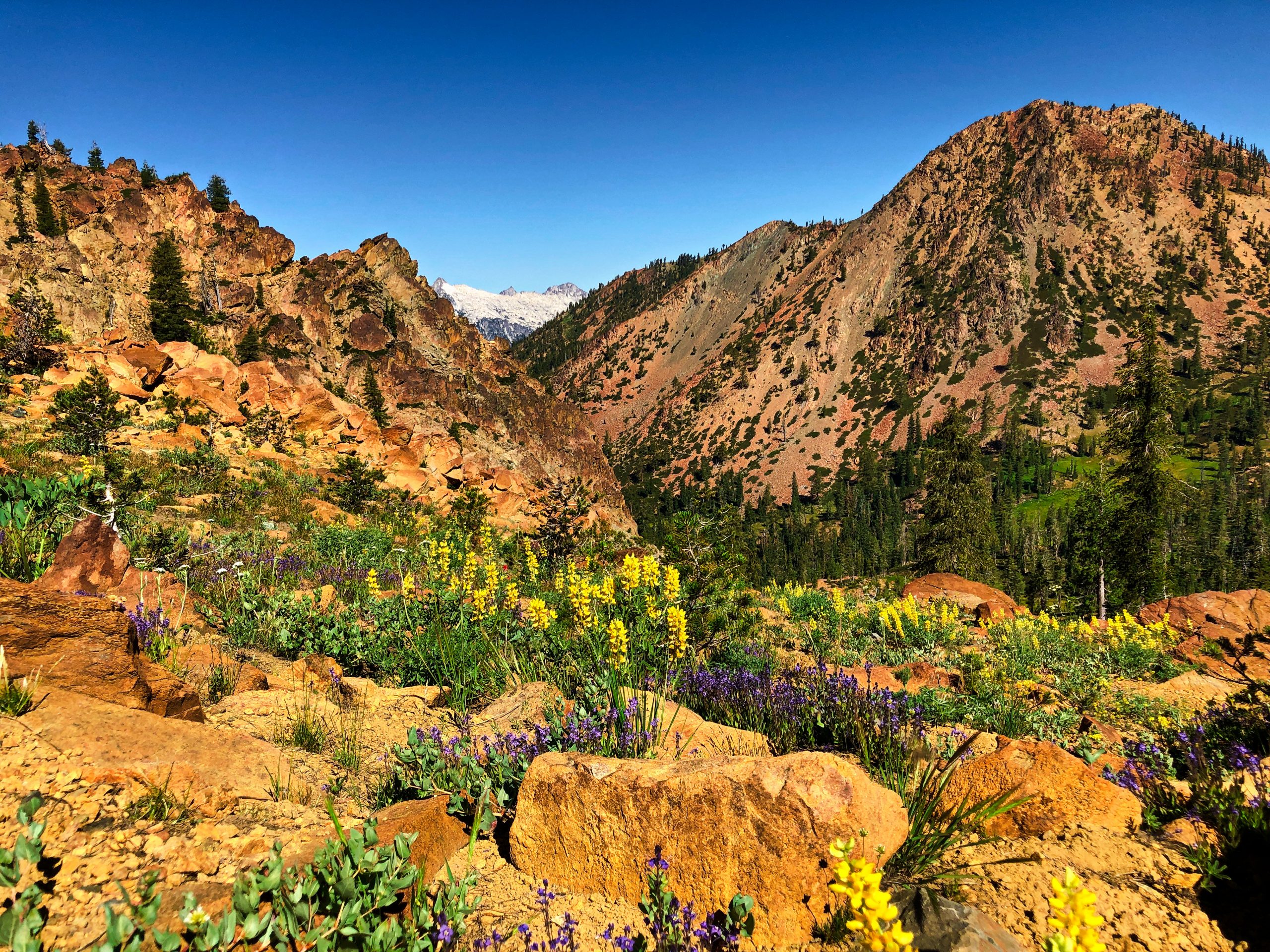 Backpacking the Four Lakes Loop, Trinity Alps - Grey Otter Outventures®