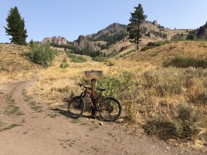 Read more about the article Adams Gulch Mountain Biking Trails