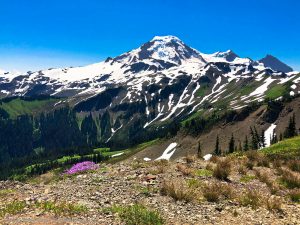 Read more about the article Skyline Divide Trail – Mount Baker Wilderness