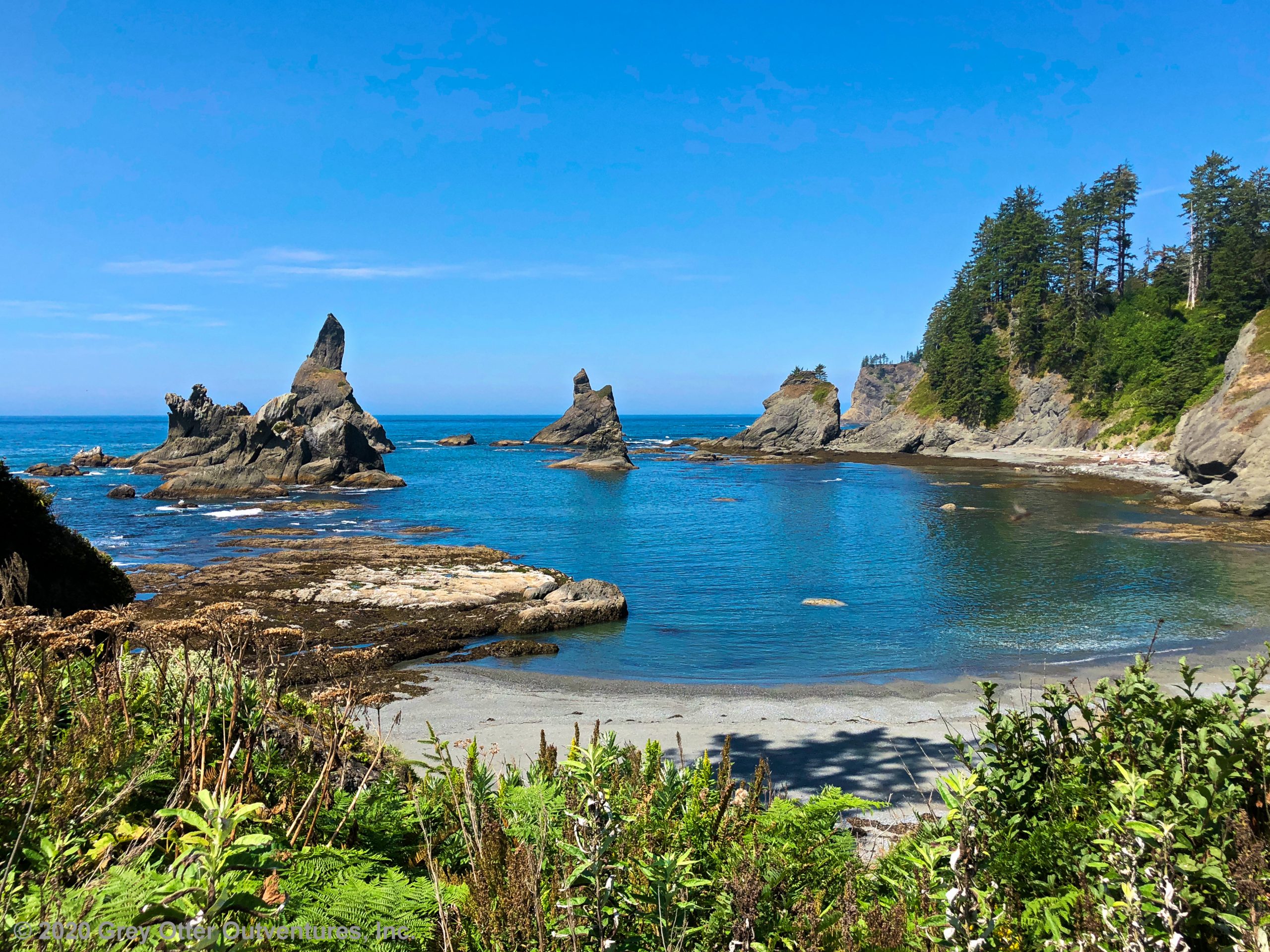 Shi Shi Beach Coastal Olympic Wilderness Grey Otter Outventures Shi Shi Beach Coastal Olympic Wilderness Grey Otter Outventures