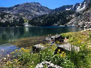 Read more about the article Pine Creek Lake Trail, Montana