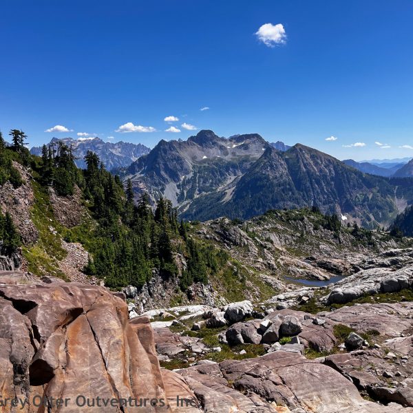 Gothic Basin