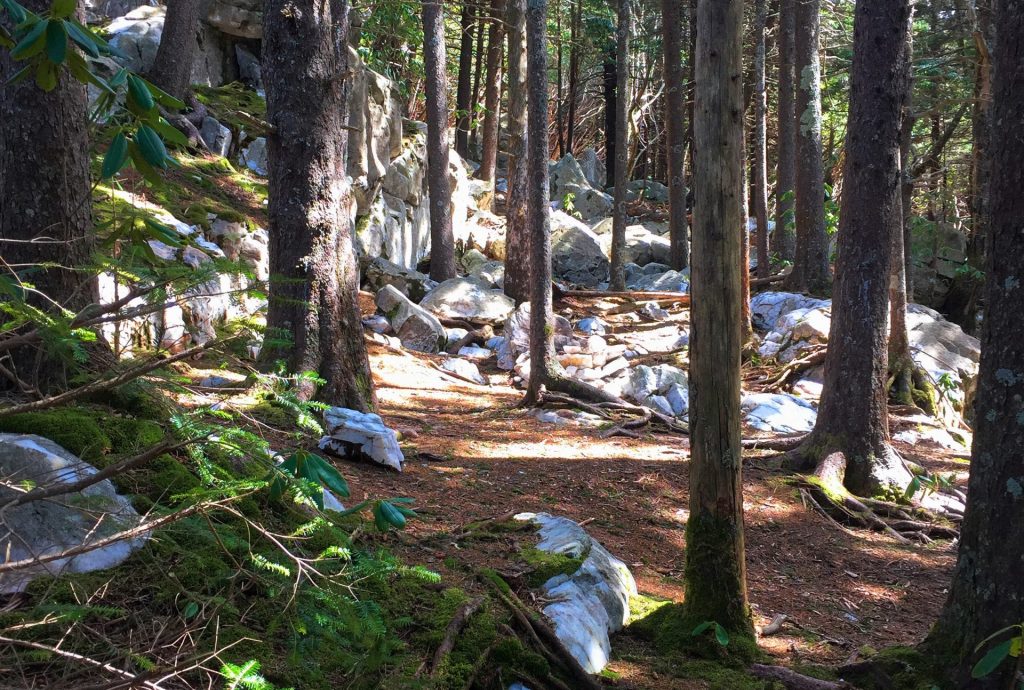 shining rock trail