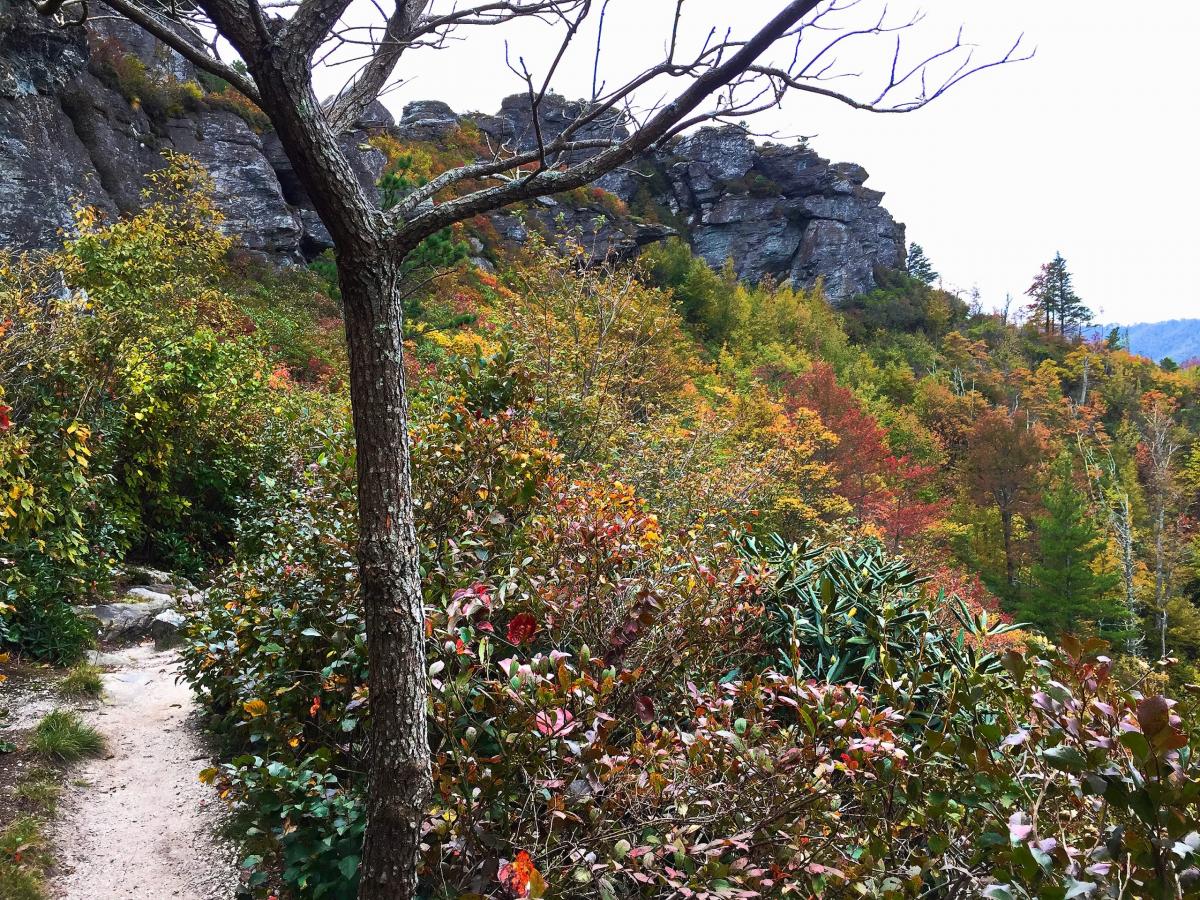 shortoff mountain trail map