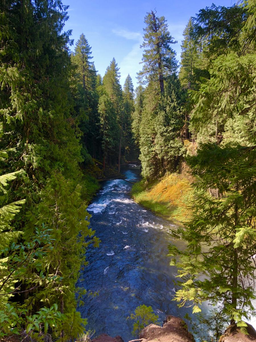 McKenzie River Trail, Oregon Grey Otter Outventures