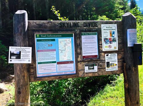 Skyline Divide Trail - Mount Baker Wilderness