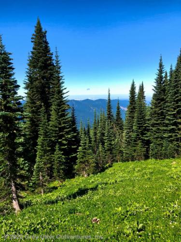 Skyline Divide Trail - Mount Baker Wilderness