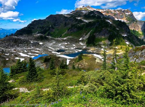Hiking to Yellow Aster Butte