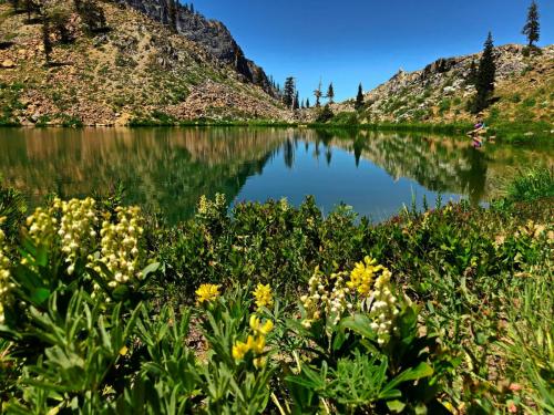 Backpacking the Four Lakes Loop, Trinity Alps