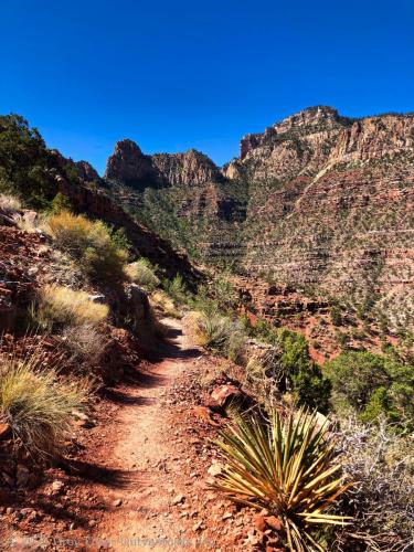 Backpacking South Kaibab to Grandview