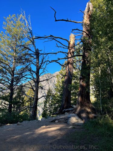 Teton Crest Trail, Grand Teton National Park