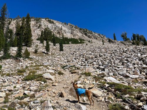 Ten Lakes Basin Lollipop - Sawtooth National Forest