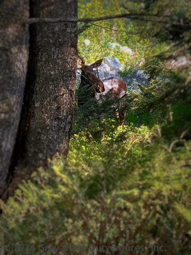 Teton Crest Trail, Grand Teton National Park