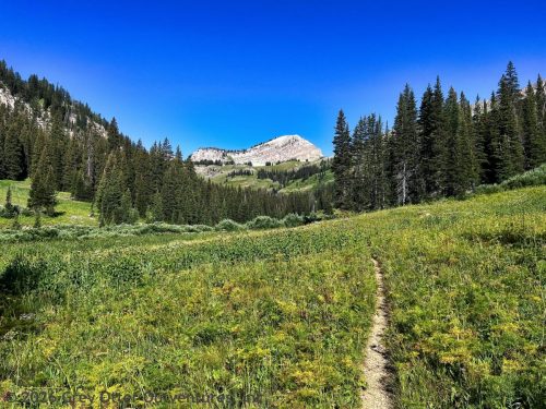 Teton Crest Trail, Grand Teton National Park