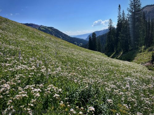 Teton Crest Trail, Grand Teton National Park