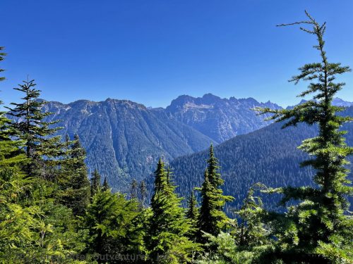Gothic Basin
