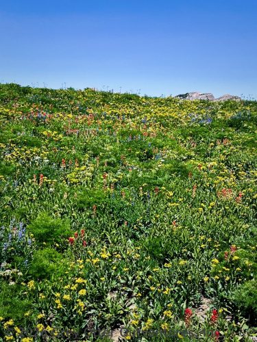 Teton Crest Trail, Grand Teton National Park