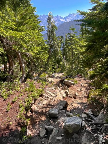 Gothic Basin