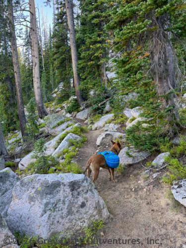 Ten Lakes Basin Lollipop - Sawtooth National Forest