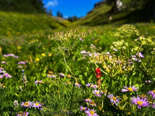 Teton Crest Trail, Grand Teton National Park