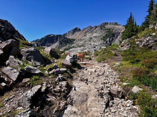 Gothic Basin