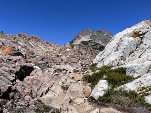 Gothic Basin