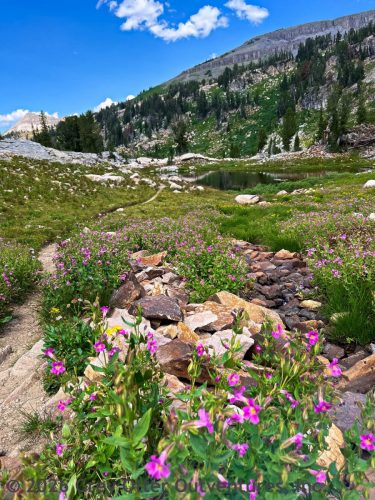 Teton Crest Trail, Grand Teton National Park
