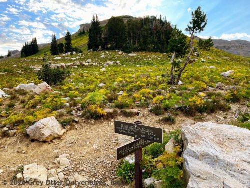 Teton Crest Trail, Grand Teton National Park
