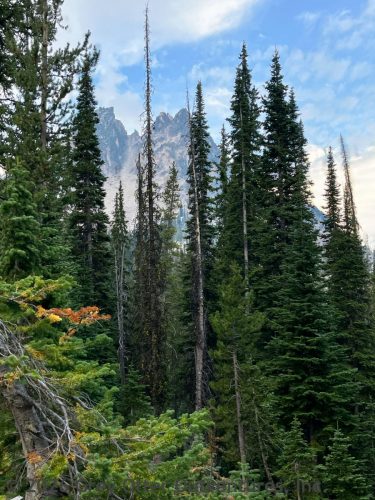 © 2026 Grey Otter Outventures, Inc.