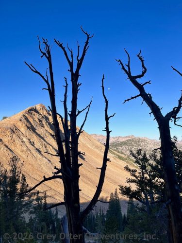 Ten Lakes Basin Lollipop - Sawtooth National Forest