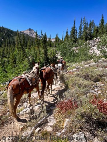 Ten Lakes Basin Lollipop - Sawtooth National Forest