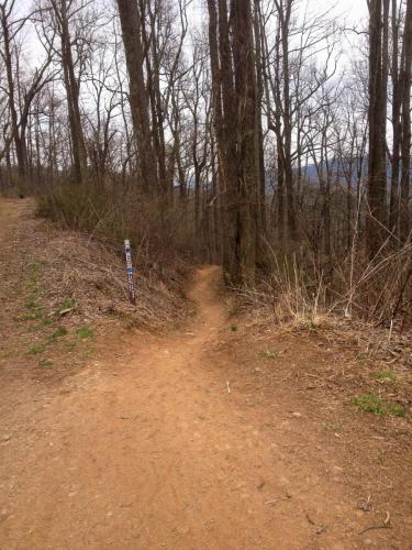 Bent Creek mountain biking trails