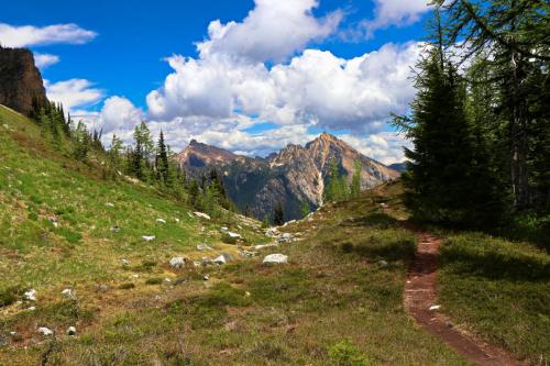 Hiking the Easy Pass Trail