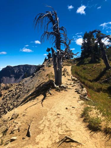Garfield Peak Trail