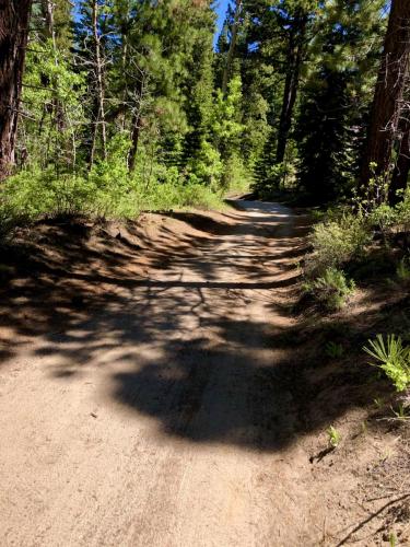 The Flume Trail, Lake Tahoe, Nevada
