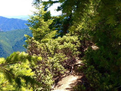 Upper Dead Mountain Trail, Oakridge, Oregon