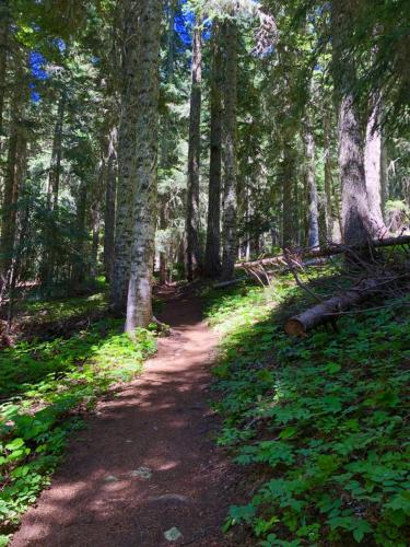 Hiking the Sleeping Beauty Trail, Washington
