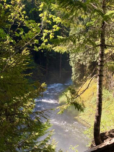 McKenzie River Trail, Oregon