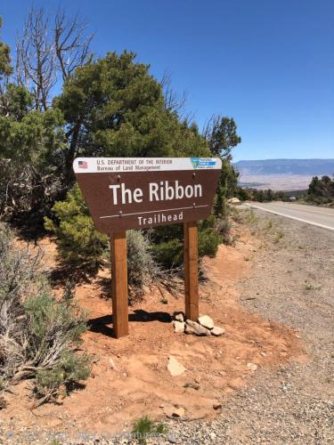 The Ribbon Mountain Biking Trail
